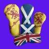 Scotland rampant lion head cover